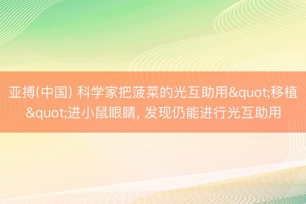亚搏(中国) 科学家把菠菜的光互助用"移植"进小鼠眼睛， 发现仍能进行光互助用