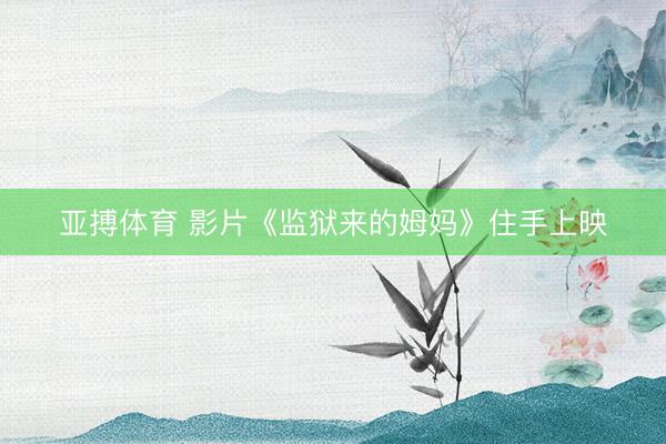亚搏体育 影片《监狱来的姆妈》住手上映