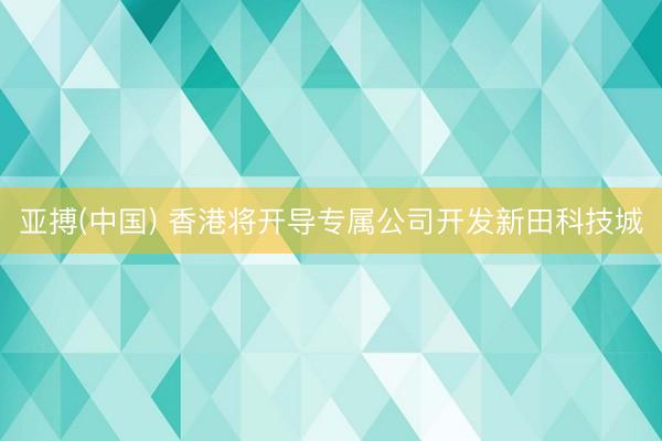 亚搏(中国) 香港将开导专属公司开发新田科技城