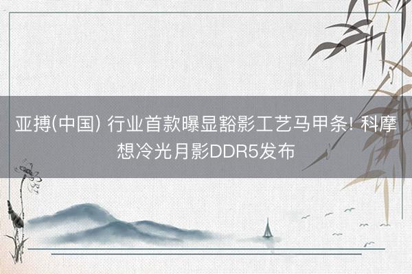 亚搏(中国) 行业首款曝显豁影工艺马甲条! 科摩想冷光月影DDR5发布
