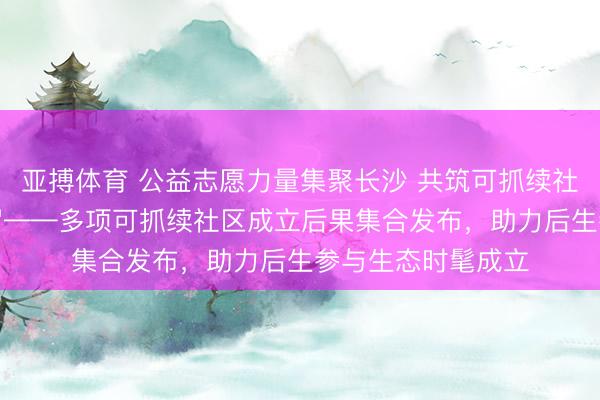亚搏体育 公益志愿力量集聚长沙 共筑可抓续社区“蓝一又友”网罗——多项可抓续社区成立后果集合发布，助力后生参与生态时髦成立