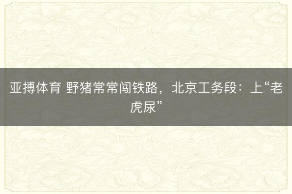 亚搏体育 野猪常常闯铁路，北京工务段：上“老虎尿”