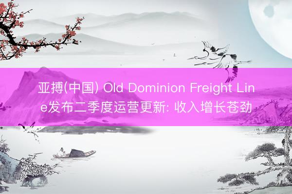 亚搏(中国) Old Dominion Freight Line发布二季度运营更新: 收入增长苍劲