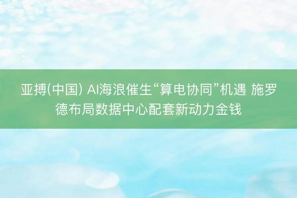 亚搏(中国) AI海浪催生“算电协同”机遇 施罗德布局数据中心配套新动力金钱
