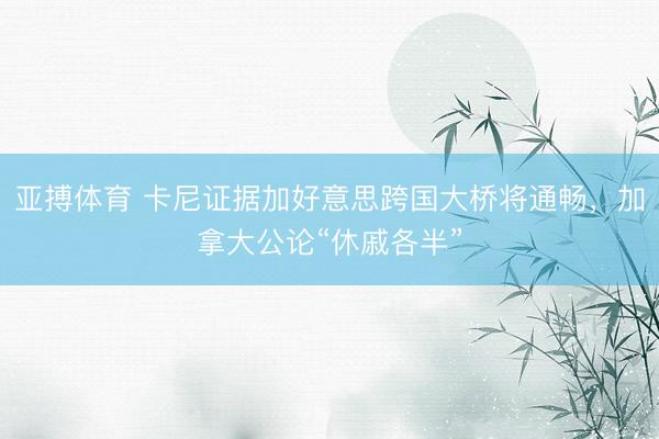 亚搏体育 卡尼证据加好意思跨国大桥将通畅，加拿大公论“休戚各半”