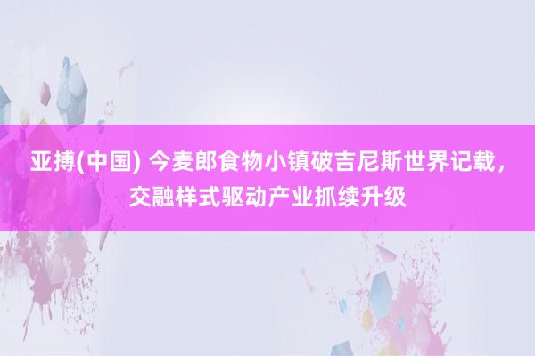 亚搏(中国) 今麦郎食物小镇破吉尼斯世界记载，交融样式驱动产业抓续升级