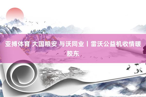 亚搏体育 大国粮安 与沃同业丨雷沃公益机收情暖胶东